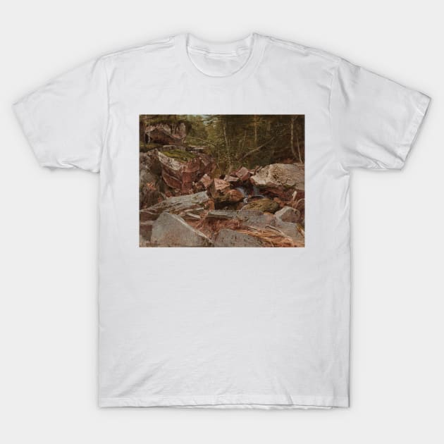 Study, North Conway, New Hampshire by David Johnson T-Shirt by Classic Art Stall